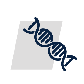 location icon