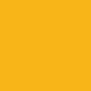 university yellow swatch