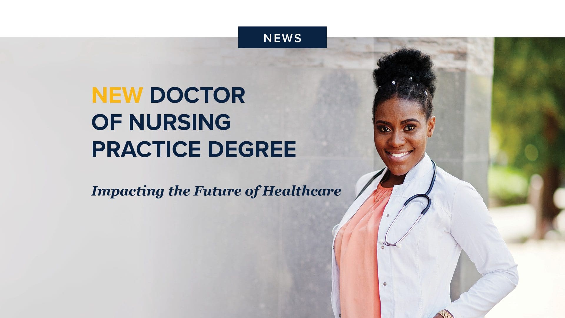New DNP Program New DNP Program