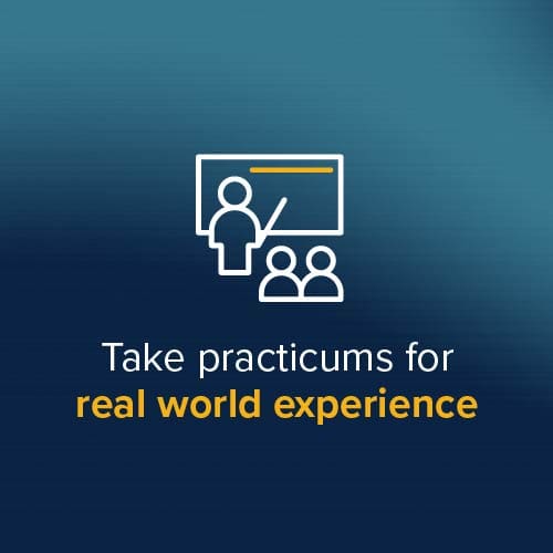 Take practicums for real world experience