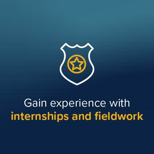 Gain experience with internships and fieldwork