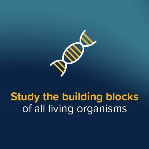 Biology_3 Study the building blocks of all living organisms