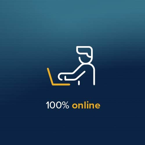 100% Online 100% Online