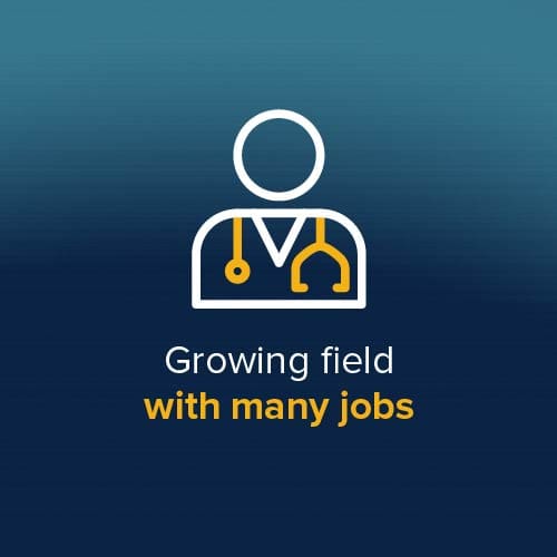 LPN-BSN_2-2 Growing field with many jobs