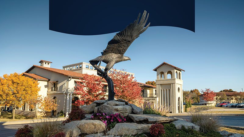 OKWU Eagle Statue OKWU Eagle Statue